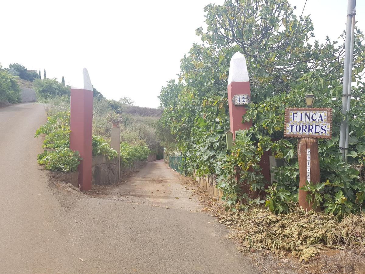 Finca Rural Torres Casas 1 Y 4 Bed & Breakfast Vega de San Mateo Exterior foto