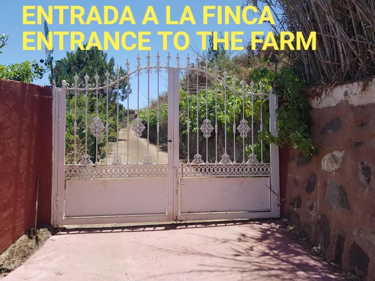 Finca Rural Torres Casas 1 Y 4 Bed & Breakfast Vega de San Mateo Exterior foto