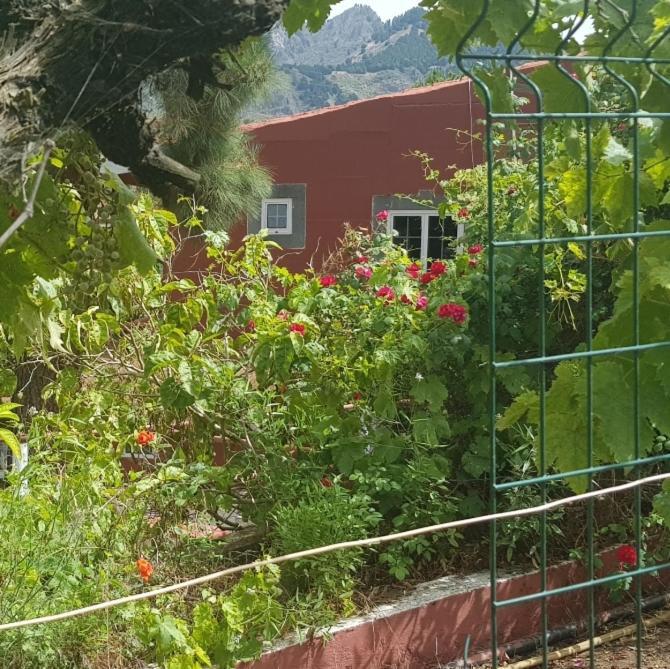 Finca Rural Torres Casas 1 Y 4 Bed & Breakfast Vega de San Mateo Exterior foto
