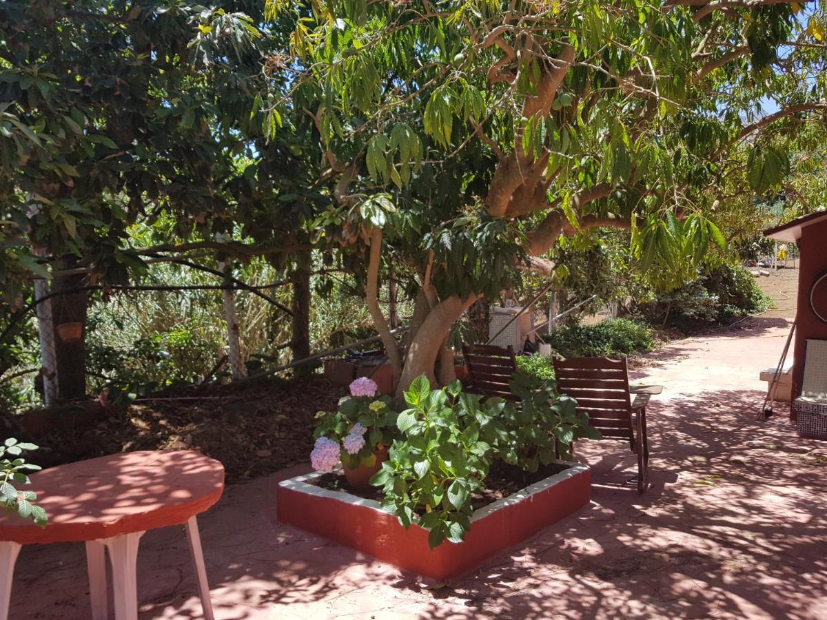 Finca Rural Torres Casas 1 Y 4 Bed & Breakfast Vega de San Mateo Zimmer foto