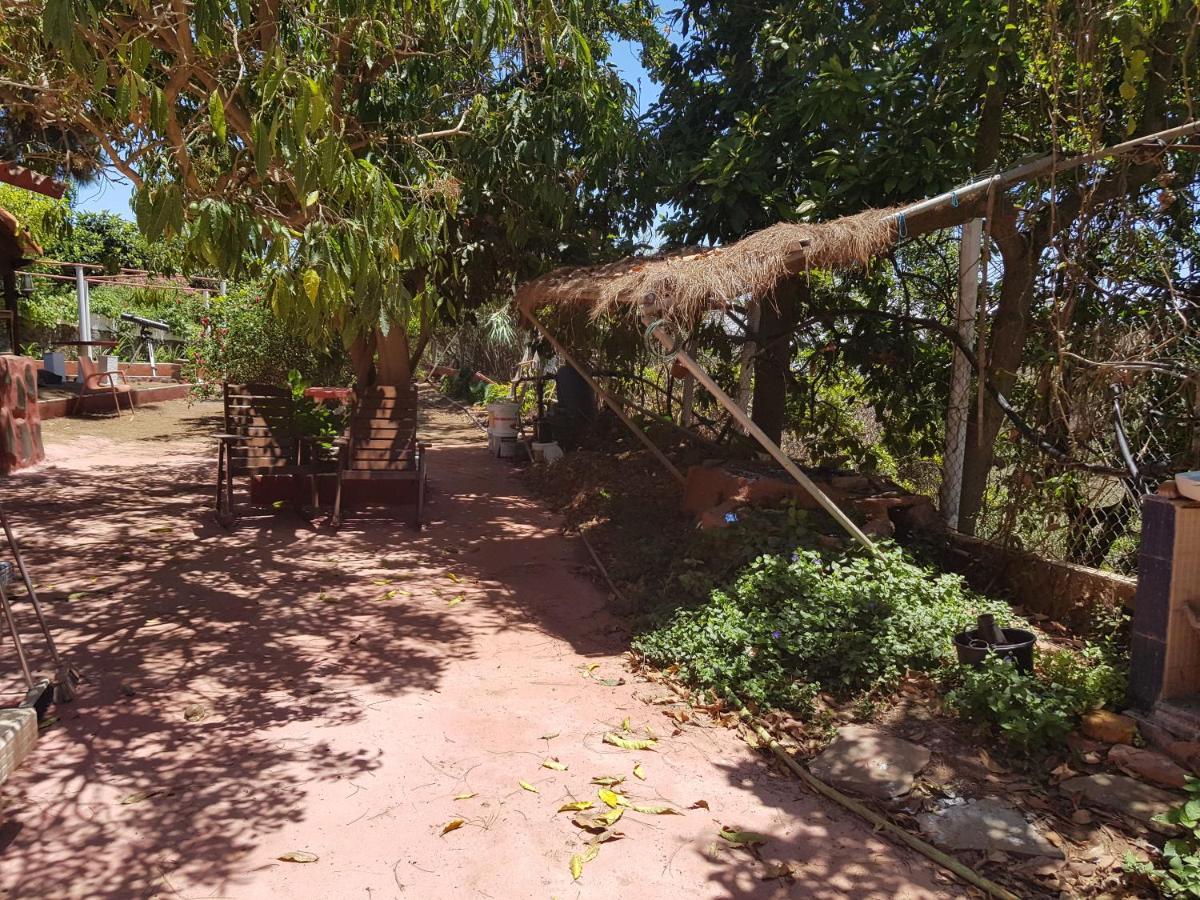 Finca Rural Torres Casas 1 Y 4 Bed & Breakfast Vega de San Mateo Zimmer foto